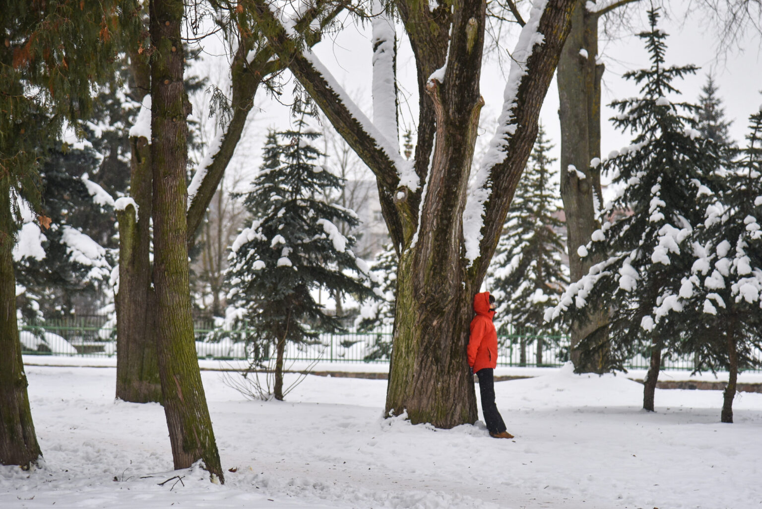 Atnaujintas Jaunimo parkas, įsiterpęs tarp A. Jakšto ir Marijonų gatvių, gali gauti prieš karą šioje vietoje sodą puoselėjusių marijonų vienuolių vardą.