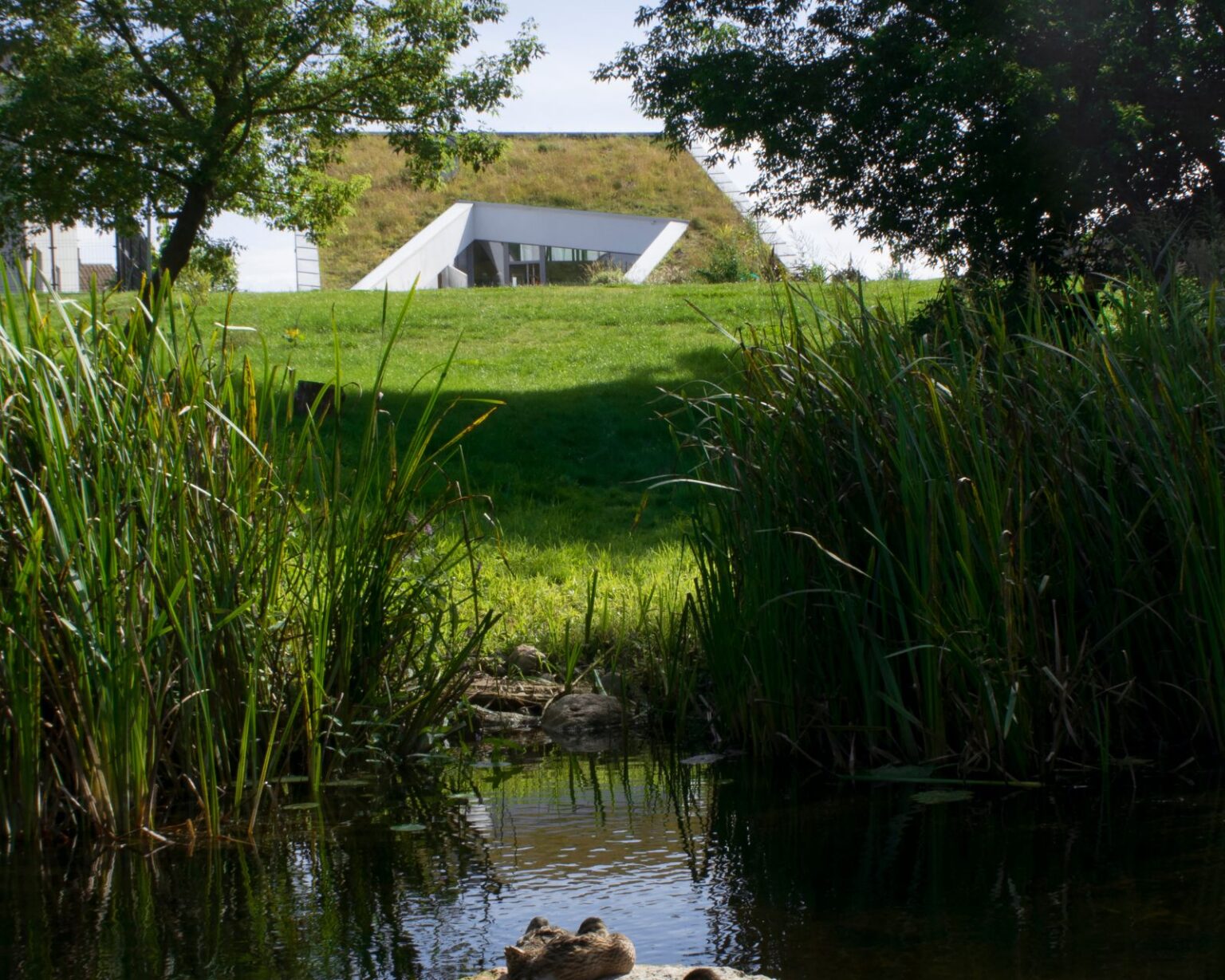 Dirbę Danijoje, Honkonge, netgi laimėję milžinišką konkursą sutvarkyti uosto teritoriją Suomijoje, kuri supa viena seniausių viduramžių pilių Šiaurės Europoje, architektų pora Giedrius Mamavičius ir Gabrielė Ubarevičiūtė bene labiausiai jaudinosi projektuodami namą ypatingai užsakovei – Giedriaus mamai.