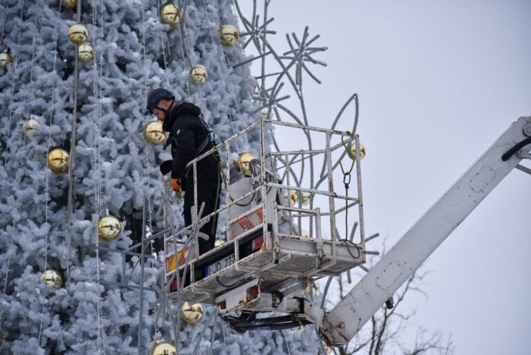 Panevėžys atsisveikina su šiųmete gražuole kalėdine egle.