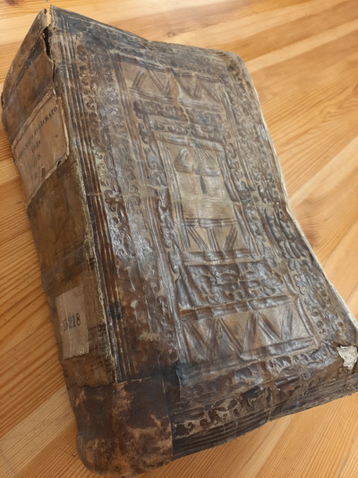 N. ČEŠKEVIČIŪTĖS nuotr.