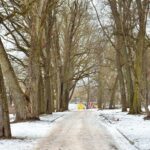 Seniausiame Panevėžyje, dar pagonybės laikus menančiame Skaistakalnio parke intensyviai dirba statybininkai.