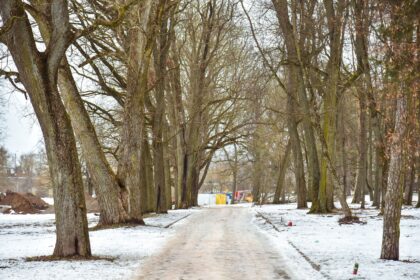 Seniausiame Panevėžyje, dar pagonybės laikus menančiame Skaistakalnio parke intensyviai dirba statybininkai.