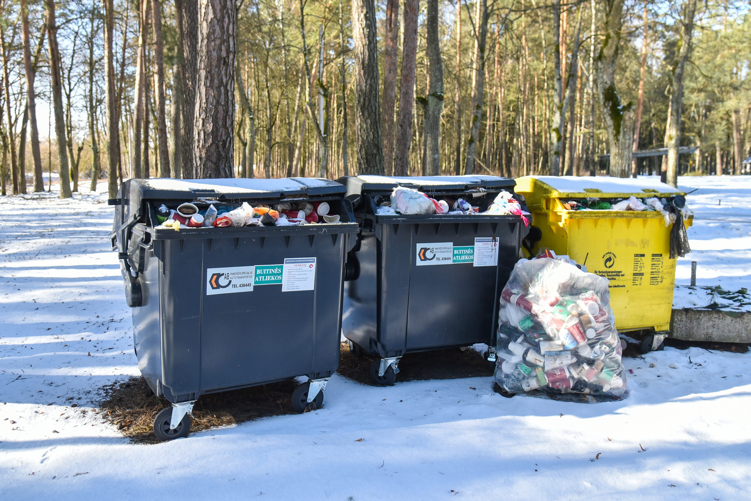Panevėžio miesto savivaldybė Berčiūnuose turi gražią, itin panevėžiečių pamėgtą poilsio zoną. Prieš kelias dienas joje vaikštinėję miestiečiai nufotografavo vietos kurortinio pušyno „įžymybę“ – tris pilnutėlius Berčiūnų ateitininkų stovyklos konteinerius.