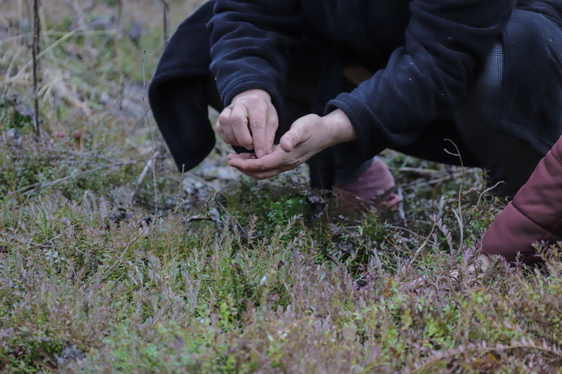 I. STULGAITĖS-KRIUKIENĖS nuotr. 