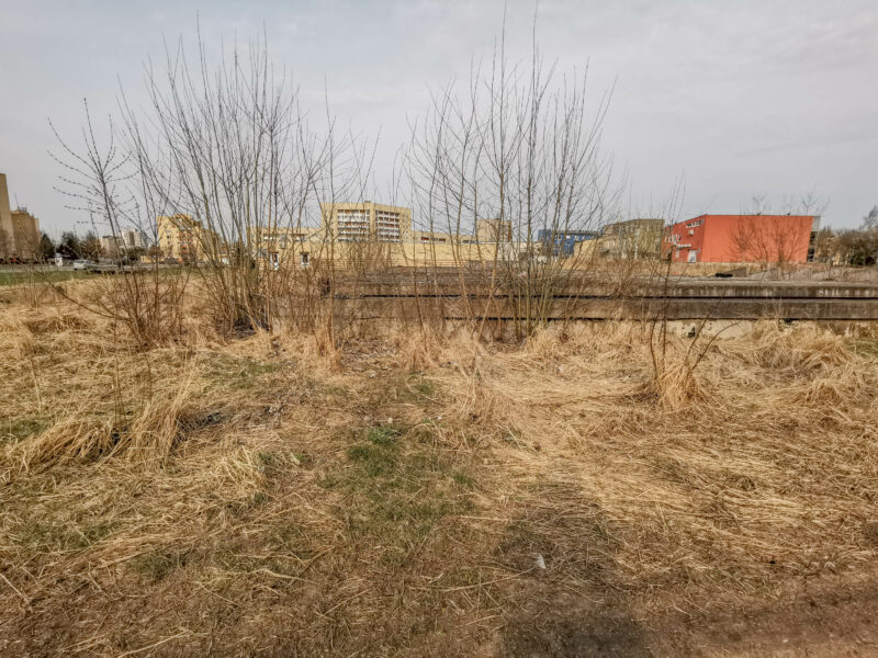 I. STULGAITĖS-KRIUKIENĖS nuotr.