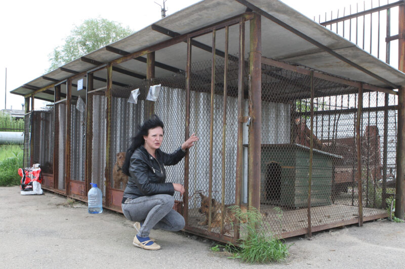 Panevėžio gyvūnų globos draugijos vadovė Rūta Liberienė net neabejoja: į gatves ar pamiškes išmetamų gyvūnų tik padaugės. „SEKUNDĖS“ nuotr.
