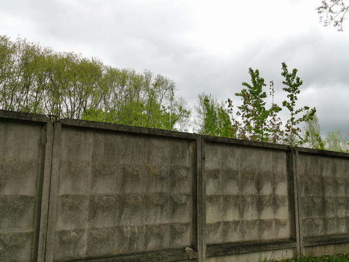 Skaistakalnio parko pašonėje 1944 metais įkurtame kariniame dalinyje iki 1993-iaisiais remontuoti karinių lėktuvų varikliai – į žemę sunkėsi sunkieji metalai, nafta ir kitos baisios medžiagos. I. STULGAITĖS-KRIUKIENĖS nuotr.