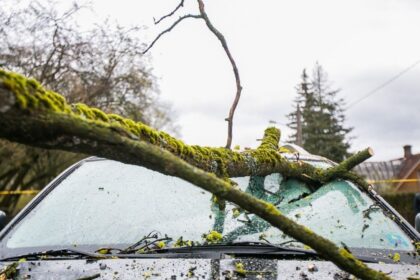Nuo sekmadienio vakaro, didžiojoje Lietuvos dalyje stipriai lyjant ar sningant, ugniagesiai 49 kartus vyko šalinti nuvirtusių medžių.