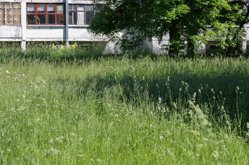 I. STULGAITĖS-KRIUKIENĖS nuotr.