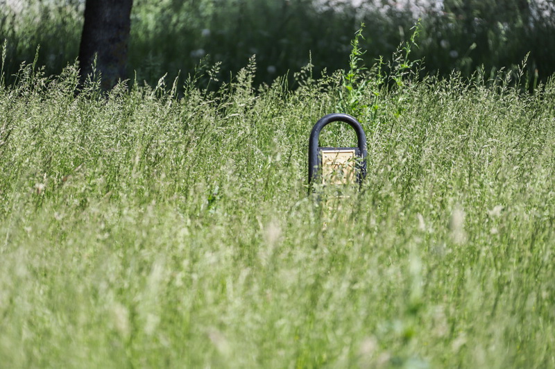 I. STULGAITĖS-KRIUKIENĖS nuotr.