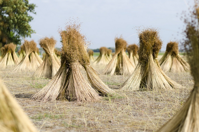 „SEKUNDĖS“ nuotr.