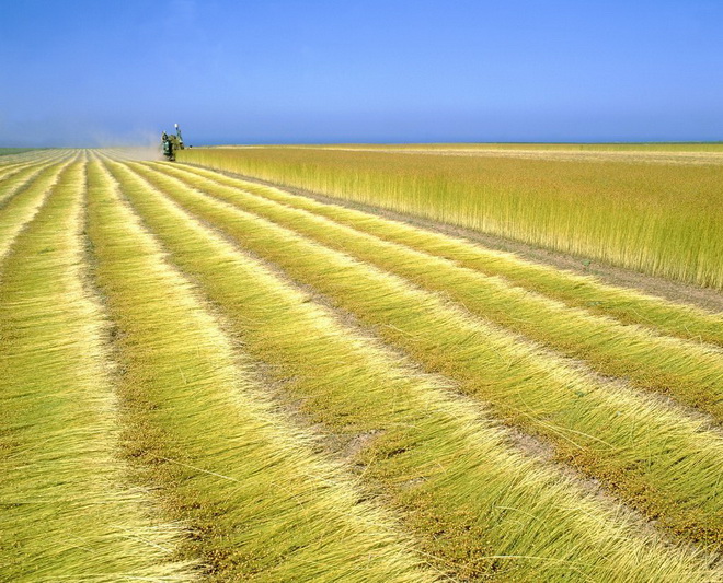 „SEKUNDĖS“ nuotr.