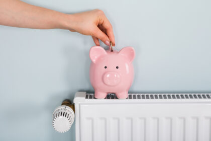 Iš valstybės kišenės praėjusią žiemą paramą sėmė ir tie Panevėžio rajono gyventojai, kurie turi namus netgi brangiausiu nekilnojamuoju turtu garsėjančioje Nidoje.