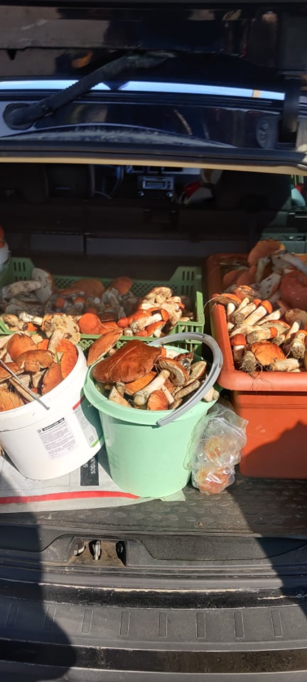 SOCIALINIŲ TINKLŲ nuotr.