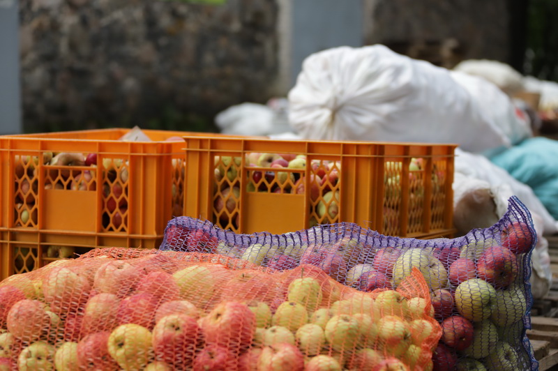 Obuolių spaudėjai pastebi, kad klientai tampa sąmoningesni – atveža švarius obuolius, nors dar pernai buvo nesibodėjusių vaisius supilti į maišą nuo trąšų. I. STULGAITĖS-KRIUKIENĖS nuotr.