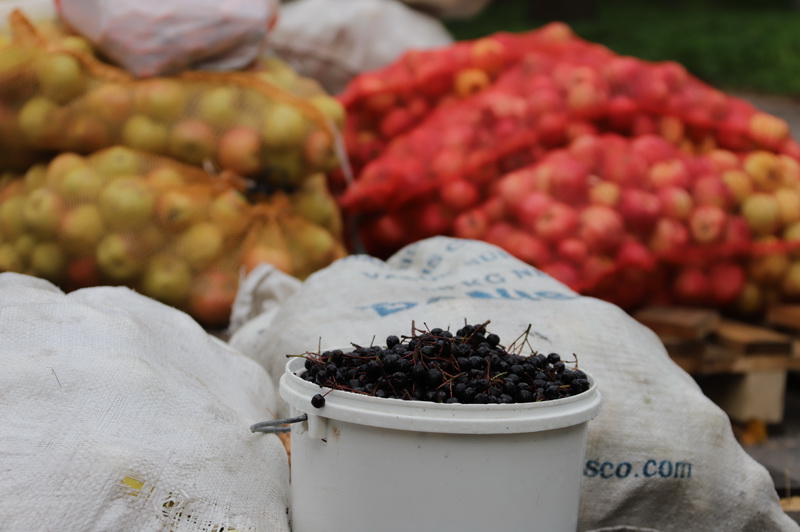 I. STULGAITĖS-KRIUKIENĖS nuotr.