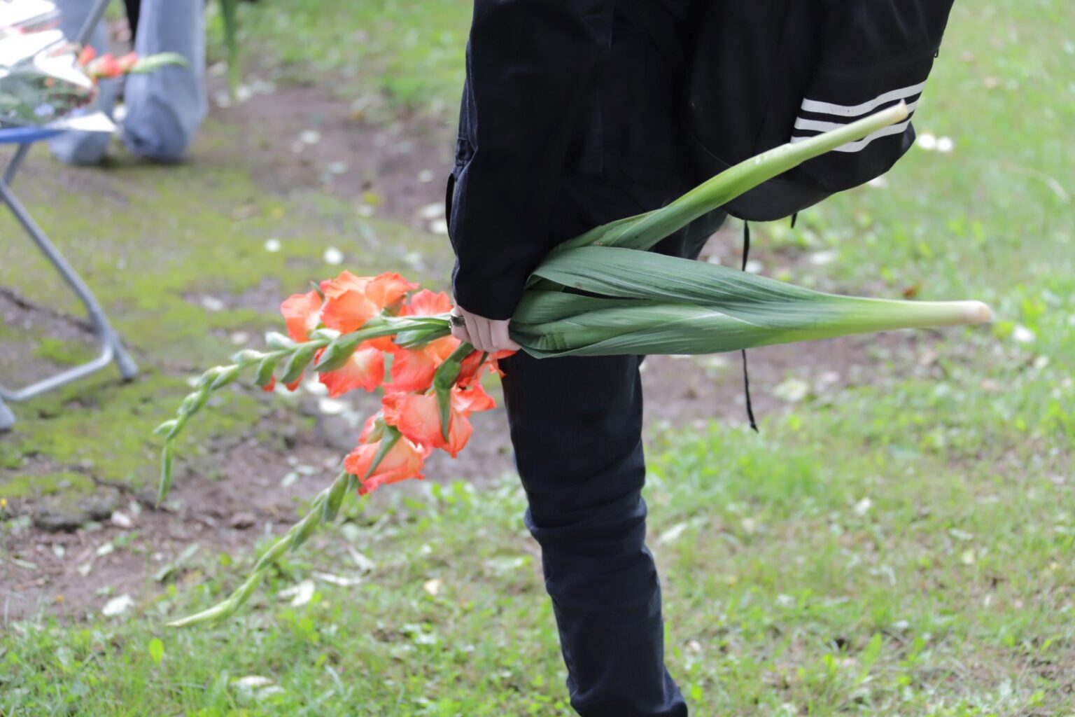 Lietuvoje gali nebelikti bene vienintelės visus vienijančios tradicijos mokslo metus pradėti rugsėjo 1-ąją: atsirado siūlymas mokslo metus pradėti vasarą.