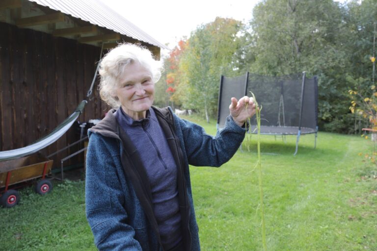 Ar įsivaizduojate, kaip atrodo kepurė, megzta iš moherio ir bananų pluošto siūlų? O iš nušukuoto šuns kailio? Tokie netradiciniai gaminiai gimsta netoli Naujamiesčio esančiame buvusios miestietės Gražinos Vildzevičienės vienkiemyje.