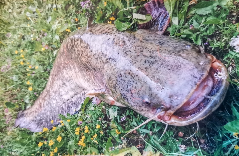 ASMENINIO ARCHYVO nuotr.