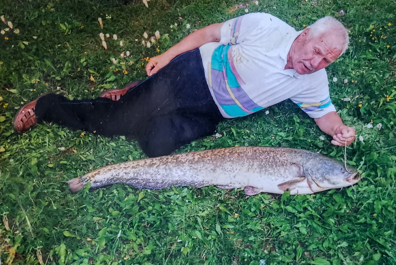 Prieš penkerius metus tvenkinyje Panevėžio rajone Juozapas Bubinas sugavo daugiau nei 14 kg šamą, o kitų „laimikių“ – diplomų ir pagyrimo raštų – nė pats nebesuskaičiuoja. ASMENINIO ARCHYVO nuotr.