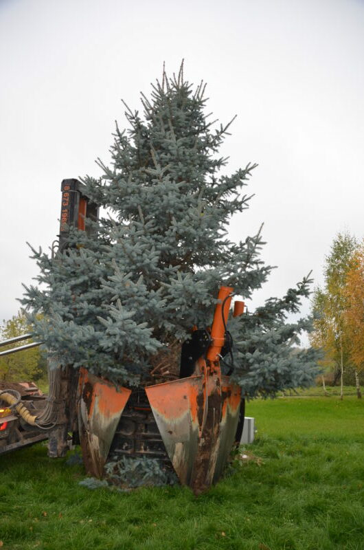 Velžys. B. KRONIENĖS nuotr.