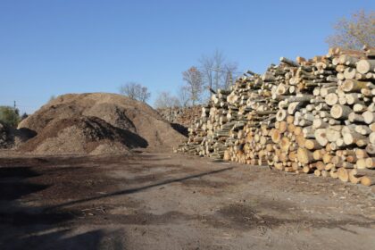 Panevėžio ugniagesiai visą savaitgalį budėjo prie Liūdynės kaimo žmones ne juokais išgąsdinusio smilkstančio biokuro kalno. Tris dienas dūmai imdavo rūkti tai viename, tai kitame krūvos gale.