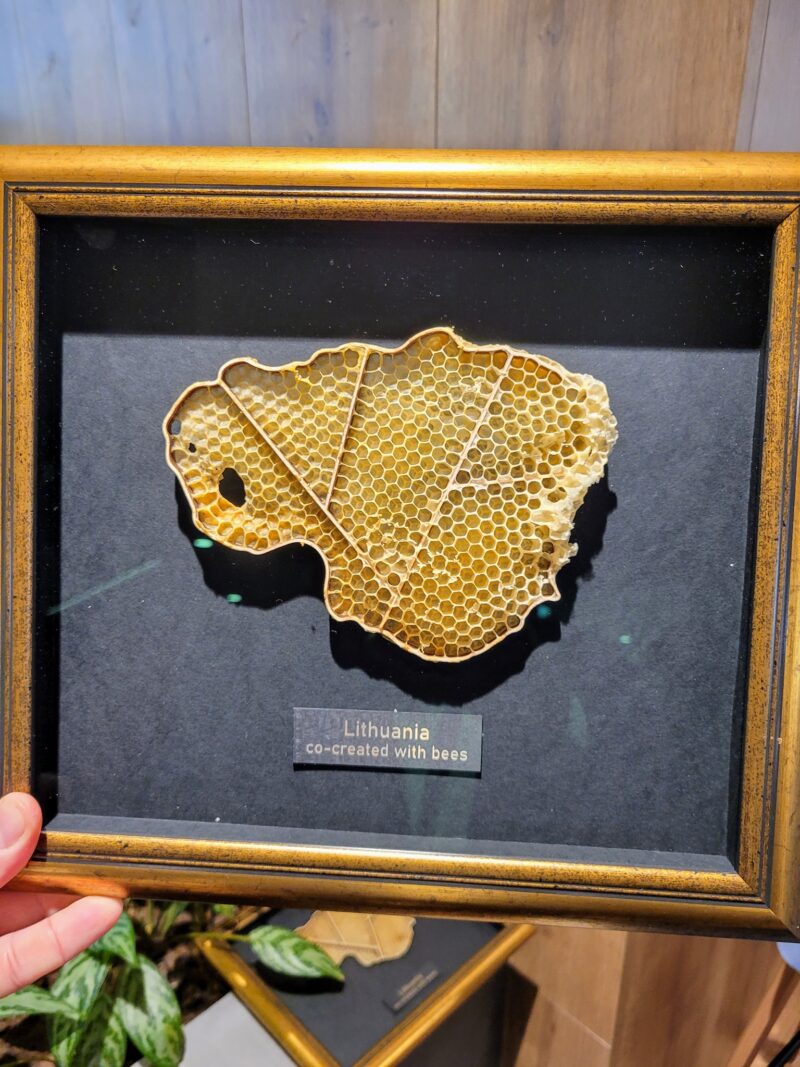 Net visko mačiusius arabų šeichus nustebino Lietuvos žemėlapio formos korys, „susiūtas“ bičių. ASMENINIO ARCHYVO nuotr. 