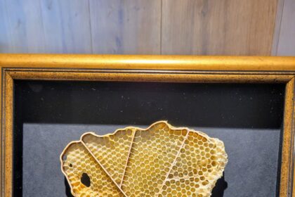 Kas yra ta širdies formos šalis prie Baltijos jūros, dabar žinos net arabų šeichai.