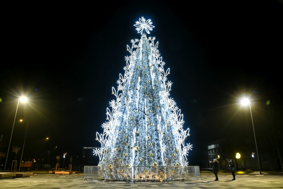Praėjusių metų Panevėžio baltaskarė išrinkta gražiausia Lietuvos Kalėdų egle. P. Židonio nuotr.