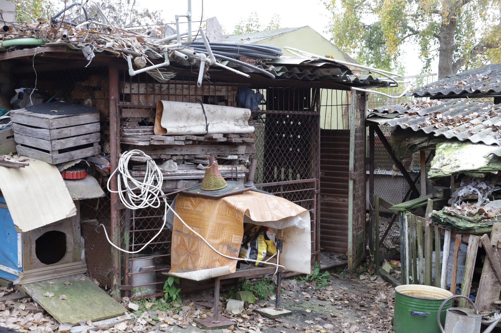 Šuneliams prieglobstį sutinka suteikti Gyvūnų globos draugija, jeigu juos kas nors atvežtų, tačiau katinų, kurių perpildyta prieglauda, laukia liūdnas likimas. I. STULGAITĖS-KRIUKIENĖS nuotr. 