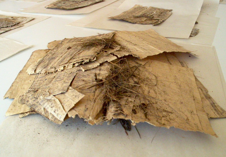 2003 metais Telšių rajono gyventojas Zigmas Micevičius perdavė Lietuvos ypatingajam archyvui ilgus metus slėptus Žemaičių apygardos Šatrijos rinktinės dokumentus. LIETUVOS YPATINGOJO ARCHYVO nuotr.