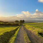 ASMENINIO ARCHYVO nuotraukos