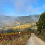 ASMENINIO ARCHYVO nuotraukos