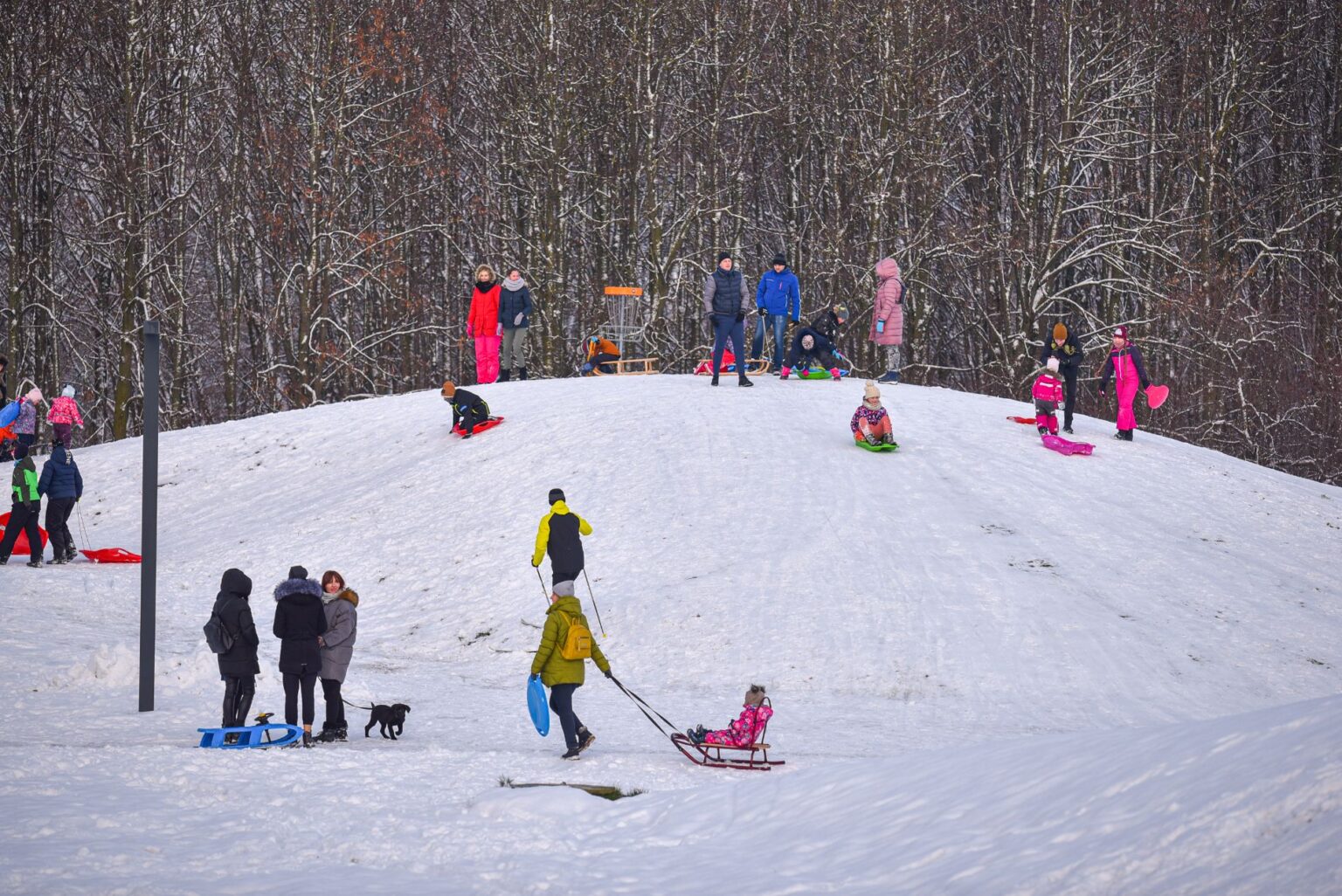 Kartu su kalendorine žiema iškritęs sniegas nubalino ne tik miškus bei pievas, bet ir Panevėžį. O svarbiausia – Kultūros ir poilsio parką, kuriame, kartu su šaltuku, nutiesė žiemos pramogų kelius ir kalnelius.