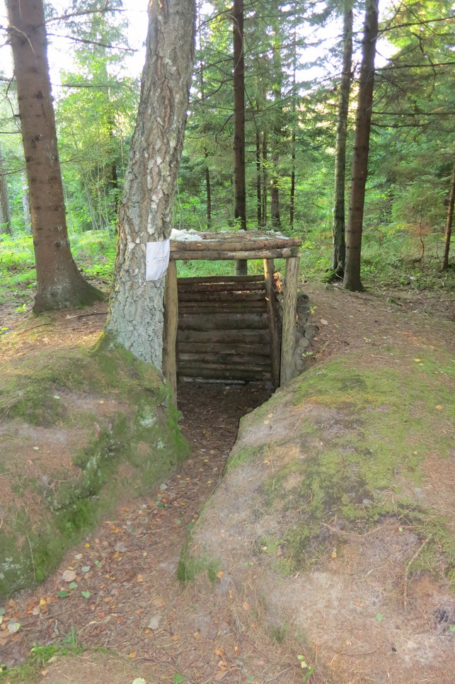 Partizanų stovyklos Pašilių miške fragmentas. 2013-ieji. D. JUODŽIO nuotr.