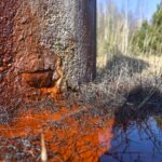 Nors sunku patikėti, tačiau mineralinio vandens versmėmis gali pasigirti ne tik Druskininkai ar Likėnai, bet ir senieji Berčiūnai Panevėžio rajone.