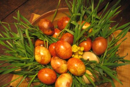 Gyvename laikais, kai spartus gyvenimo ritmas, asfalto dulkės ir nuovargis – neišvengiama realybė. Tokiais atvejais didžiausia atgaiva tampa ramus pasivaikščiojimas parke ar užmiestyje miške.