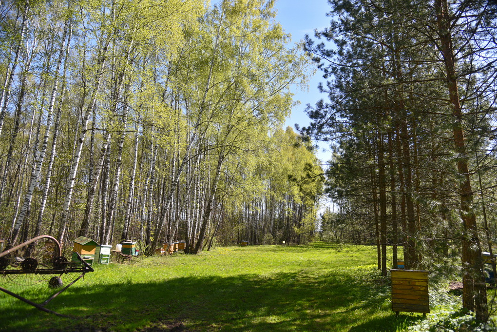 Stasio ir Valerijaus Juknevičių puoselėjamame miško parke egzotika priderinta prie natūralumo. P. ŽIDONIO nuotr.