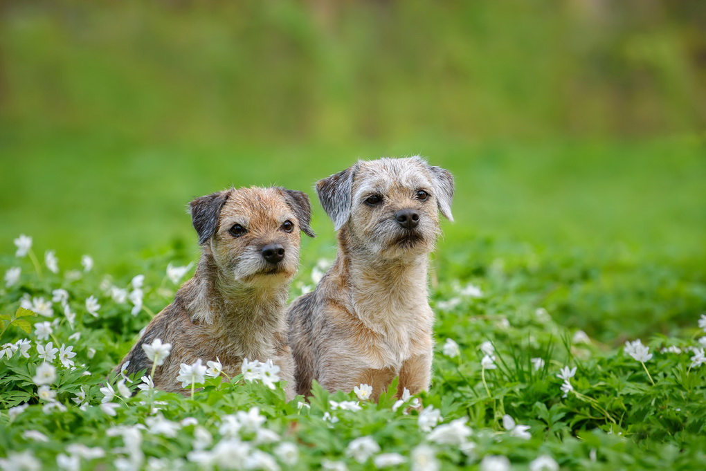 G. KARALIŪNAITĖS nuotr.