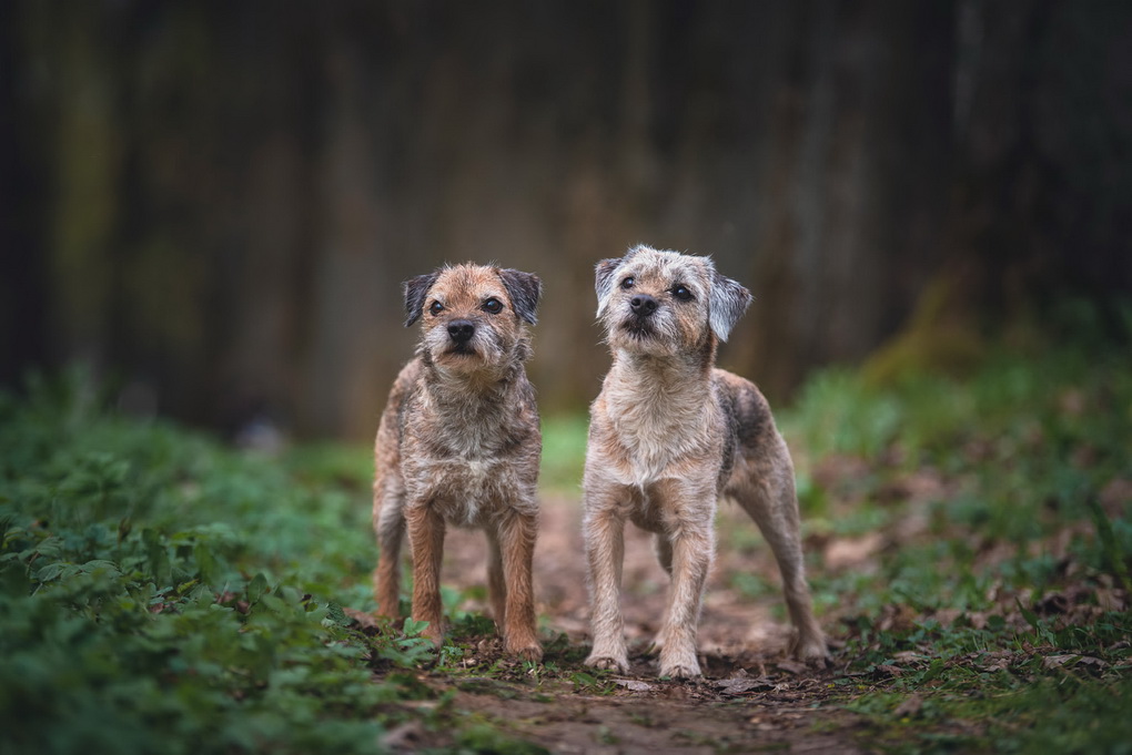 G. KARALIŪNAITĖS nuotr.