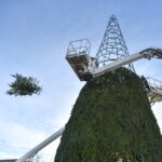 Jau trečią kartą Panevėžį Kalėdoms puoš ta pati konkurso laimėtoja. P. ŽIDONIO nuotr.