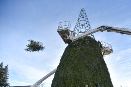 Jau trečią kartą Panevėžį Kalėdoms puoš ta pati konkurso laimėtoja. P. ŽIDONIO nuotr.