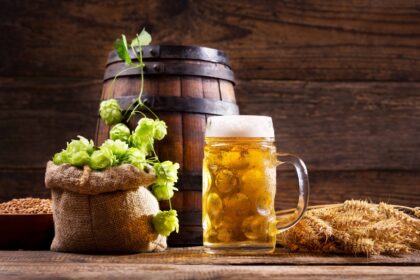 Iškilmingame renginyje Vilniaus rotušėje ketvirtadienį pristatyti devyni naujai į Nematerialaus kultūros paveldo vertybių sąvadą įrašyti reiškiniai ir įteikti sertifikatai jų saugotojams.