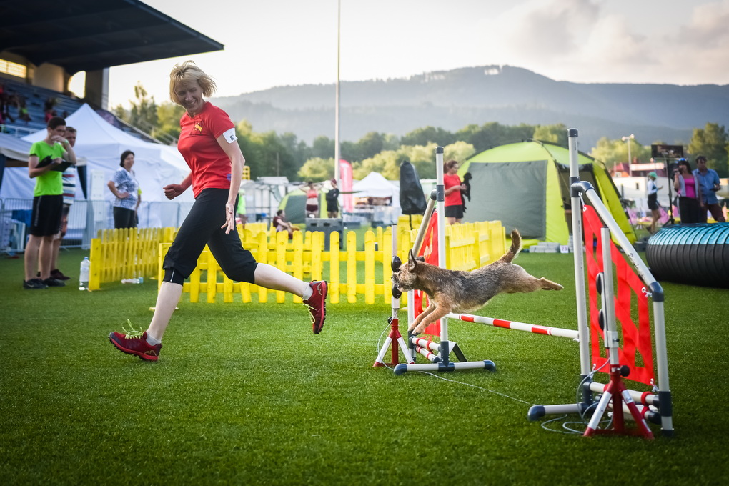 Šunų ruošimas varžyboms, Jūratės Miliūnaitės teigimu, reikalauja ir kūrybiškumo. ASMENINIO ALBUMO nuotr.