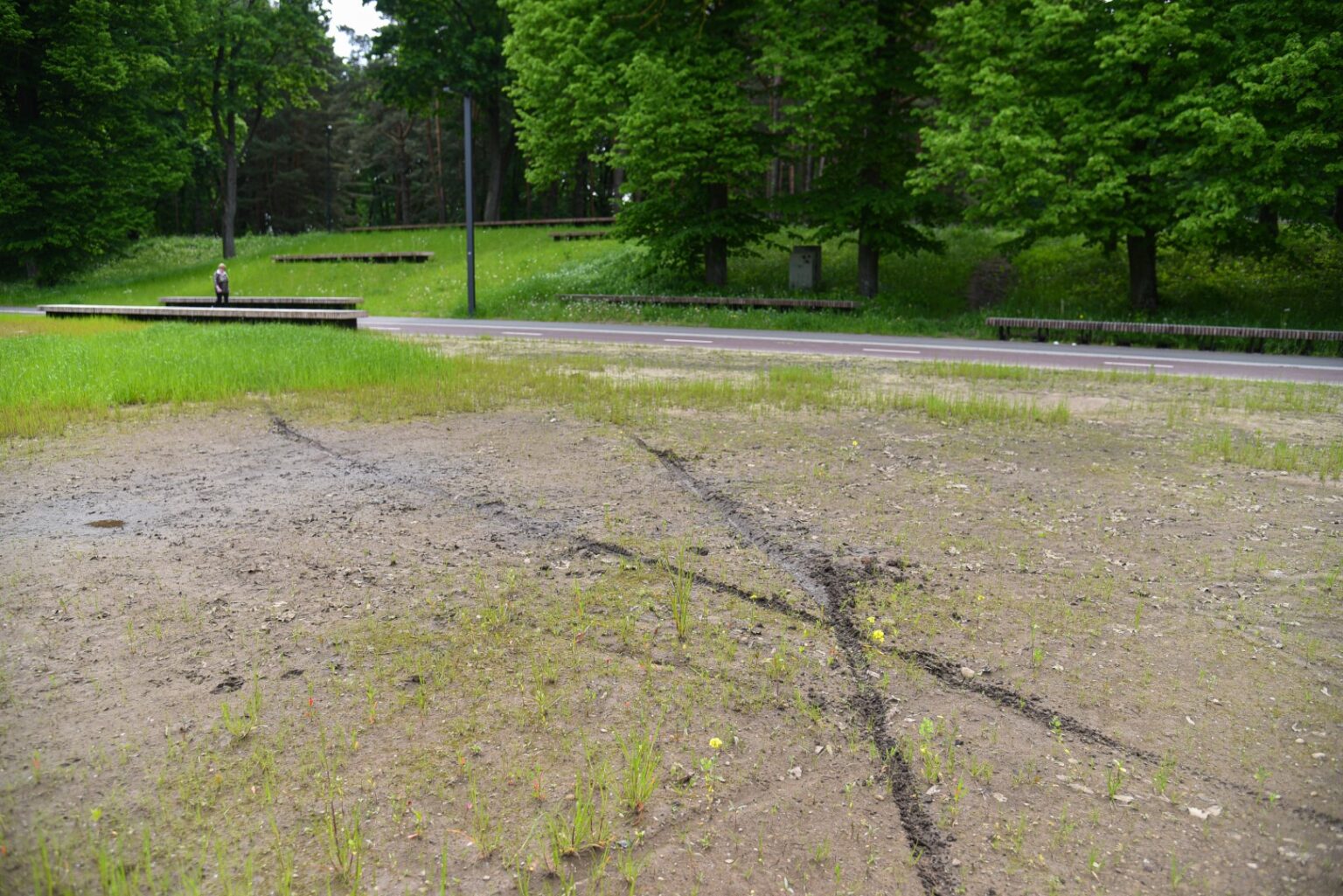 Skaistakalnio parko atnaujinimą prižiūrintiems specialistams galvas skauda jau ne vien dėl labiau nei manyta sutrešusio ir didesnio nei planuota remonto reikalaujančio tilto.