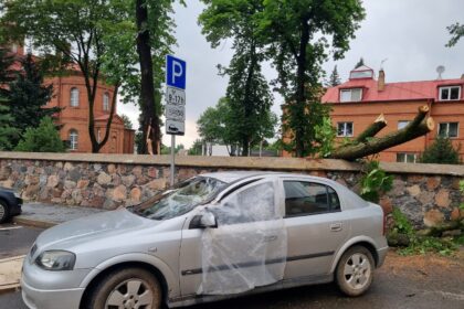Dėl nuvirtusio ir automobilį apgadinusio išpuvusio šventoriaus medžio Panevėžio Šv. apaštalų Petro ir Povilo parapijos klebonas Romualdas Zdanys jau kartą buvo kviečiamas į teismą.