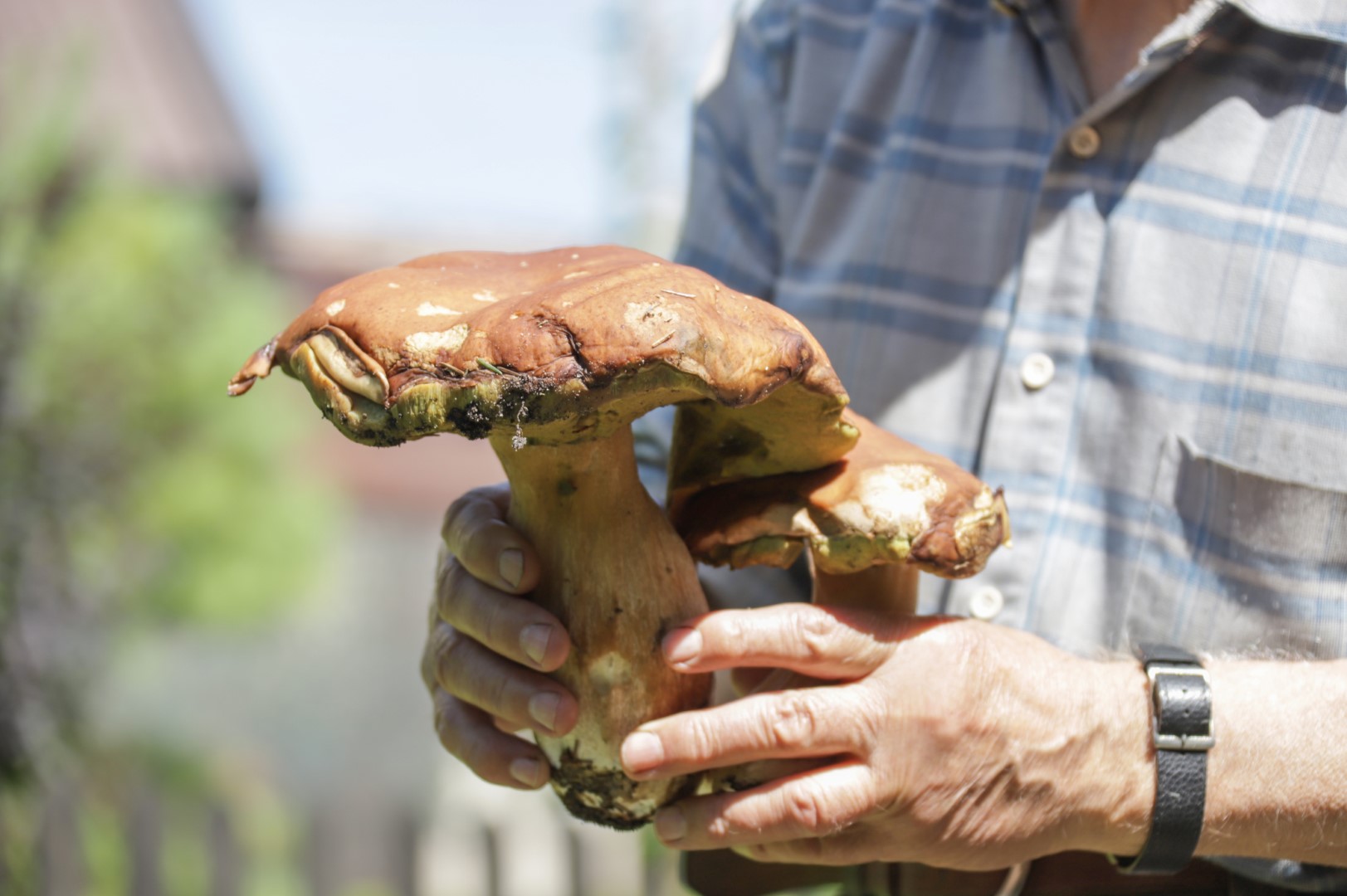 I. STULGAITĖS-KRIUKIENĖS nuotr.