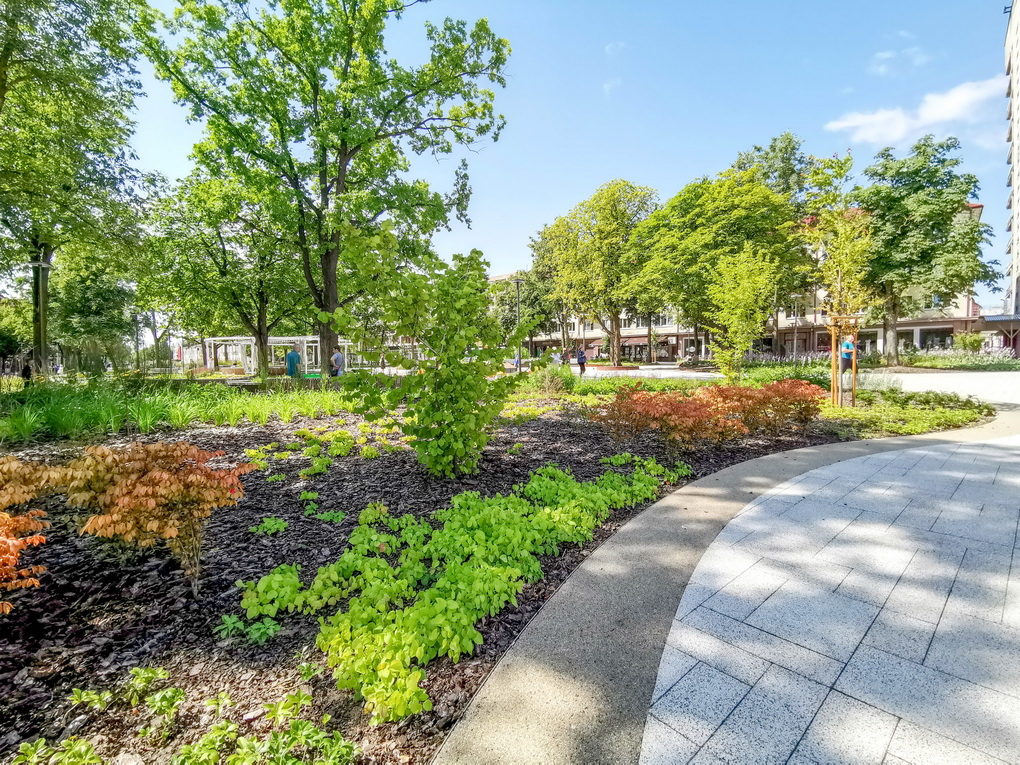 Laisvės aikštės gėlyną šunį įleidusi panevėžiečių pora nors ir sugrįžo surinkti, ką augintinis palikęs, vis tiek atsidūrė gėdos lentoje. I. STULGAITĖS-KRIUKIENĖS nuotr.