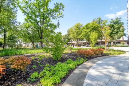 Didžiulį ažiotažą žiemą surengtu performansu, pavadintu „Kakalų pavasaris“, sukėlusi Panevėžyje žinoma fotomenininkė šįkart dėmesio centre atsidūrė dėl savo šuns, reikalą atlikusio Laisvės aikštės gėlyne.