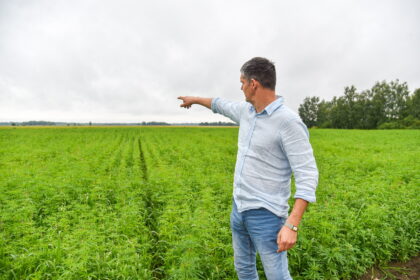 Sinoptikų prognozes, artimiausiu laiku žadančias atšilimą, ne tik kambarius nuomojantys palangiškiai, jūros išsiilgę poilsiautojai, bet ir ūkininkai sutinka kaip pačią laukiamiausią žinią. Anot jų, tik saulė ir dienos be lietaus dar gali išgelbėti skęstantį šiųmetį derlių.